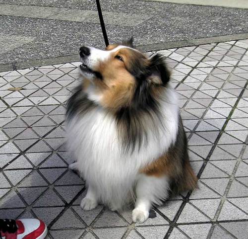 100330rando700_3.jpg