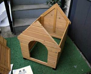 inu01.jpg