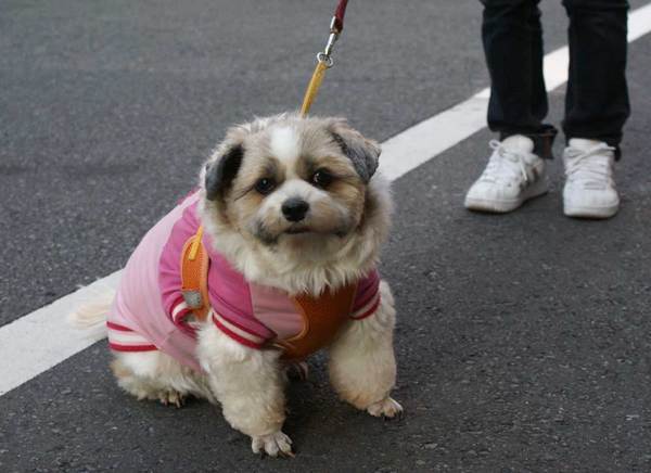 koharu1000_03.jpg
