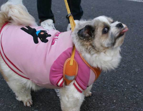 koharu1000_05.jpg